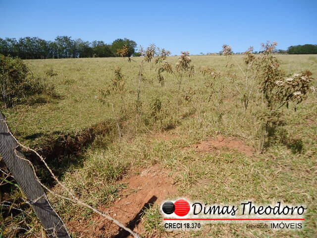 Venda em Campo Novo - Bragança Paulista