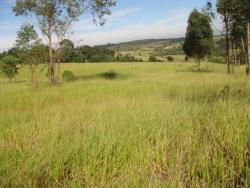 #1796 - Área para Venda em Barueri - SP - 1